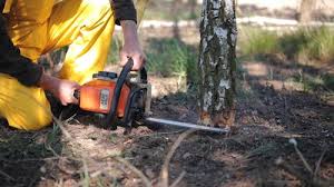 Best Lawn Grading and Leveling  in Okolona, MS