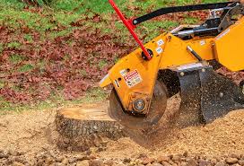 Best Tree Risk Assessment  in Okolona, MS